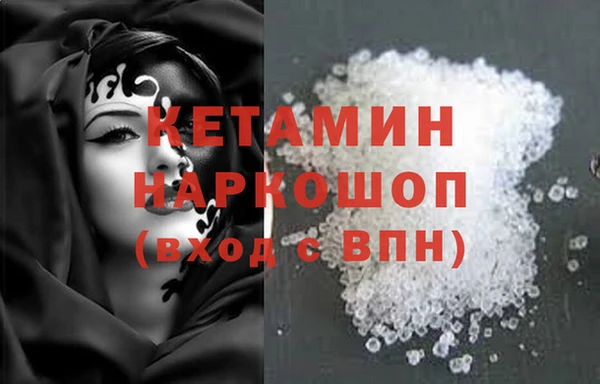 шишки Белокуриха