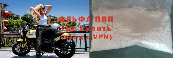 шишки Белокуриха