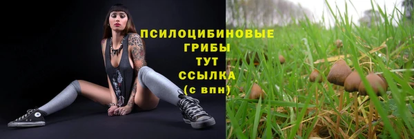 хмурый Богородск