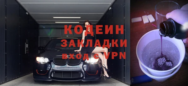 шишки Белокуриха