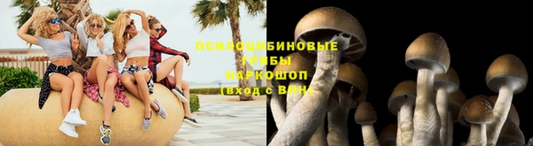 гидропоника Белоозёрский