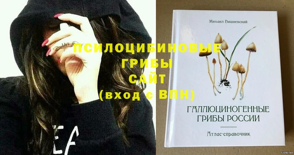 шишки Белокуриха