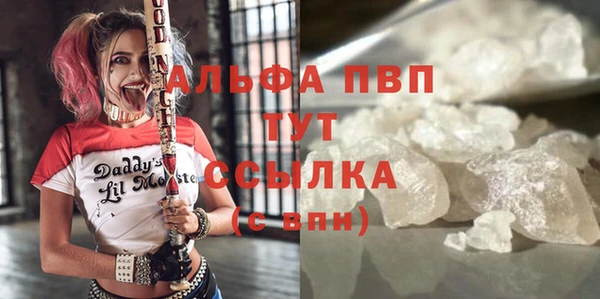 шишки Белокуриха