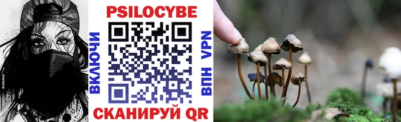 Галлюциногенные грибы ЛСД  блэк спрут зеркало  Ужур 